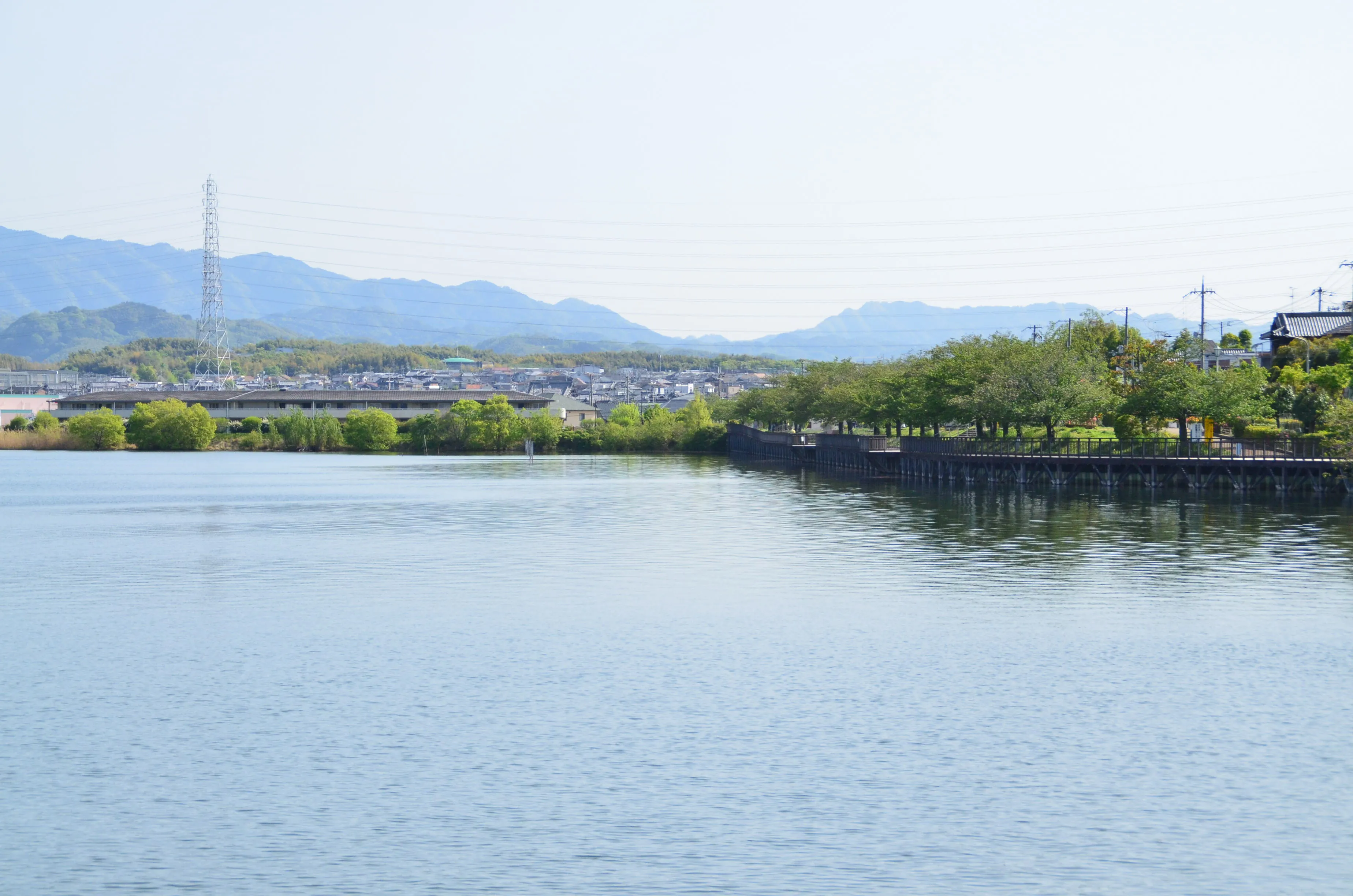 久米田池の風景